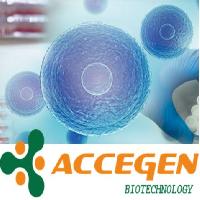 AcceGen