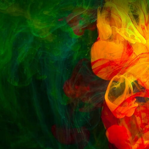 Alacrita Life Science Consulting