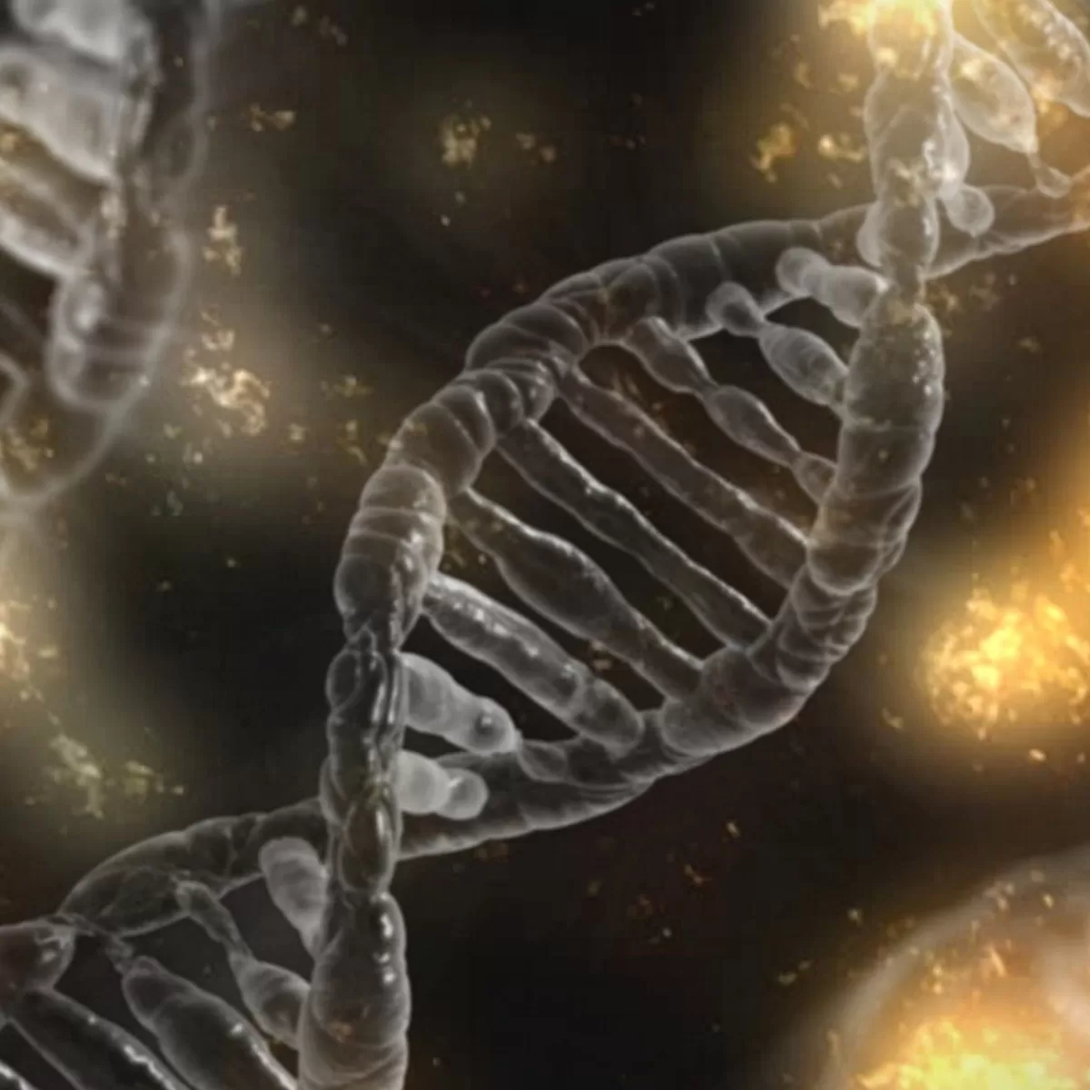 Lilly Bets $630M on Pain Target Novartis Failed: A High-Stakes Gamble in the World of Pharma