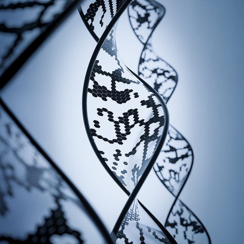 who owns your DNA, genetic data ownership, DNA privacy laws, ethical issues in genetic testing, genetic information consent