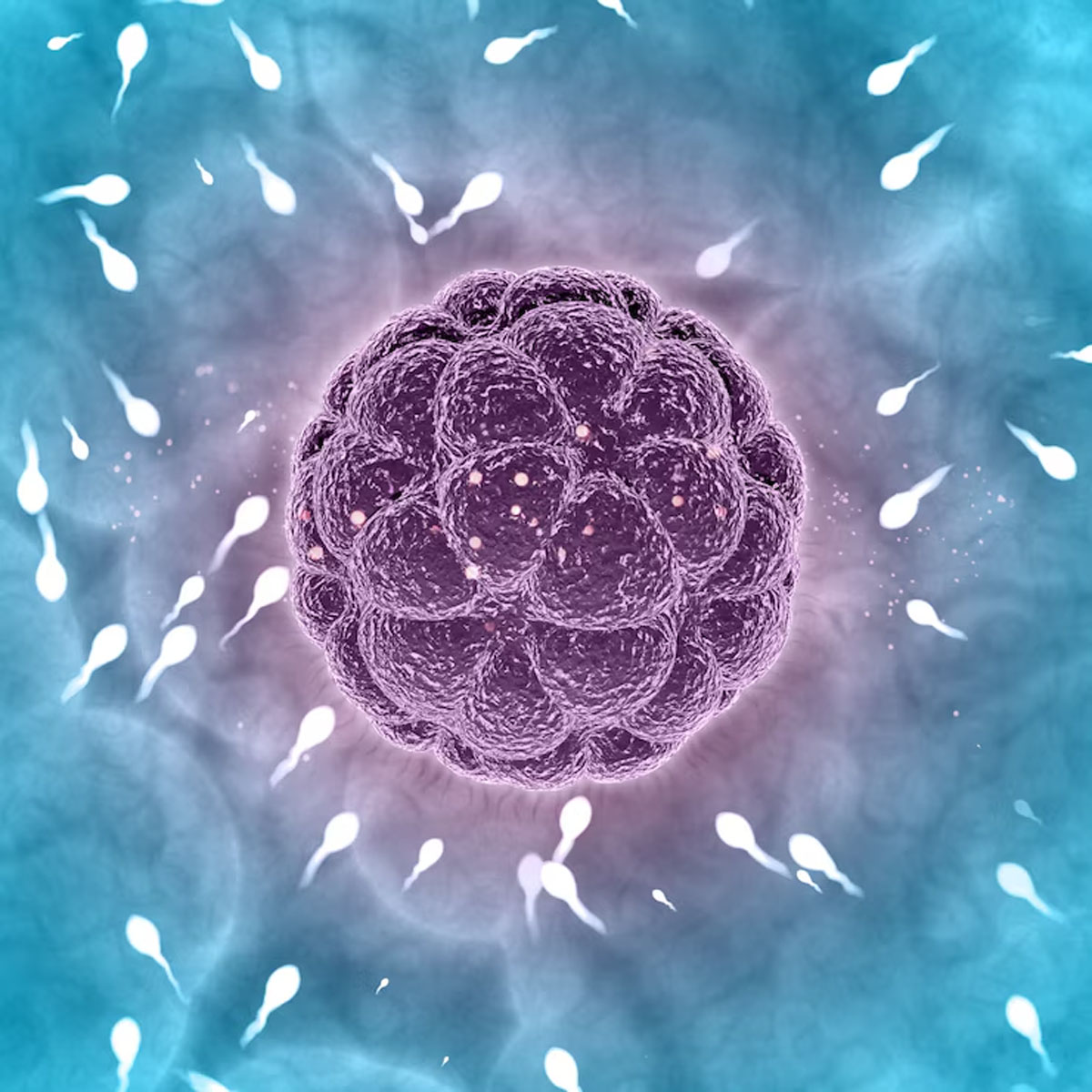 lab grown gametes, IVG, fertility tech